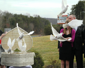 memorial dove release